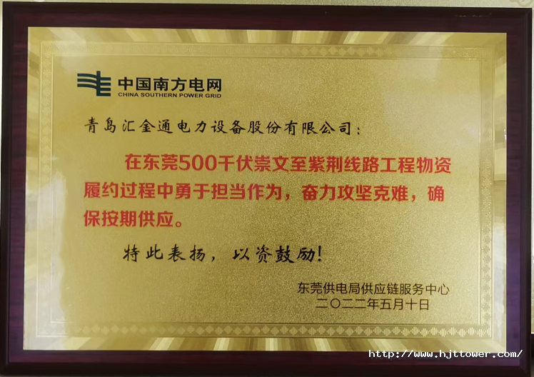 中國南方電網(wǎng)-東莞供電局供應鏈服務中心 表彰.png